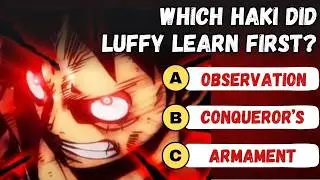 Ultimate One Piece Quiz: Only True Straw Hat Crew Members Can Ace This Challenge! 🏴&zwj;☠️💥