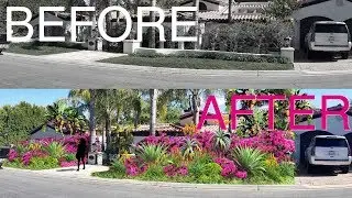 FRONT YARD LANDSCAPE DESIGN RENDERING