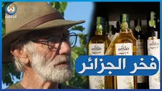 قصة عمي رابح مع زيت الزيتون.. من أعالي جبال بوزقزة إلى الميداليات الذهبية