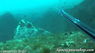 (Carlos del pozo)ROISUB-PRISMA Bucanero R 96