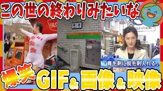 【🌏爆笑】この世の終わりみたいな笑えるおもしろGIF＆画像＆動画大全集ｗｗｗ【2ch】【ガルちゃんまとめ】