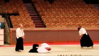 Funny Demonstarion Of Aikido -HHH Very Nice