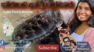 Sri Lanka Road Trip | Kandy to Hikkaduwa Sea Turtle Hatchery