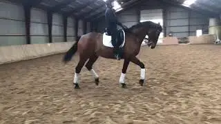 Enghavegaard's Tebaldi salgsvideo