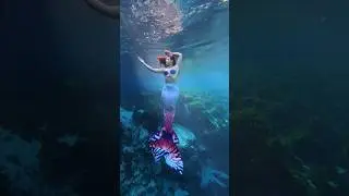 Dreamy mermaid swim 🧜&zwj;♀️✨ #mermaid #verobeachmermaid