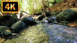 Relaxing River Sounds for Stress Relief, Deep Sleep, Meditation, and Yoga Practice