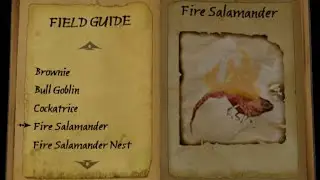 The Spiderwick Chronicles Game Chapter 4 Catch A Fire Salamander No Commentary
