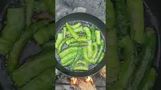 Acı turşu yapımından Acı biber kızartması 🌶️ #turşu #acıbiber #odunateşi #biberturşusu