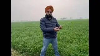ਕਣਕ ਦੀ ਫ਼ਸਲ ਵਿੱਚ ਜੁਆਇੰਟਿੰਗ ਸਟੇਜ ਦੀ ਮਹੱਤਤਾ | Importance of Jointing Stage in Wheat