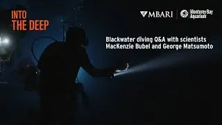 Live Blackwater Diving Q&A with Aquarium and MBARI Scientists! | Into The Deep