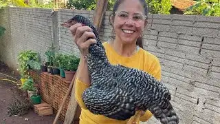 Galinha Caipira carijó Destroncando, polenta com requeijão caseiro na chapa
