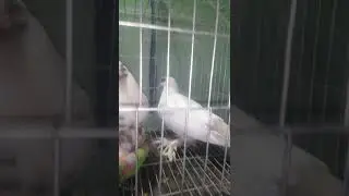 ২৪ অক্টোবর, ২০১৯