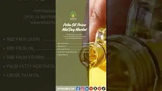 🌴📈 𝐌𝐚𝐥𝐚𝐲𝐬𝐢𝐚 & 𝐈𝐧𝐝𝐨𝐧𝐞𝐬𝐢𝐚 𝐏𝐚𝐥𝐦 𝐎𝐢𝐥 𝐌𝐢𝐝 𝐃𝐚𝐲 𝐌𝐚𝐫𝐤𝐞𝐭 𝐏𝐫𝐢𝐜𝐞𝐬 &ndash; 𝟐𝟒 𝐒𝐞𝐩𝐭𝐞𝐦𝐛𝐞𝐫 𝟐𝟎𝟐𝟓 📈🌴