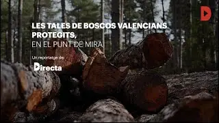 La tala de boscos valencians protegits, en el punt de mira