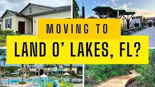 Moving to Land O' Lakes, FL? Here&rsquo;s What You Need to Know!