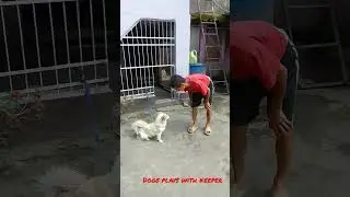 DOGS PLAY WTH KEEPER
