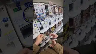 [vlog] #中野 #gashacoco