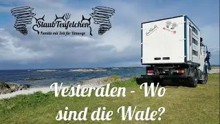 [3] Vesteralen - Wo sind die Wale? /Norwegen