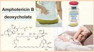 amphotericin B deoxycholate