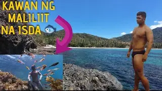 PUERTO PRINCESA CITY NAGTABON BEACH PERFECT FOR DIVING FOR BEGINNER 😍 #puertoprincesapalawan