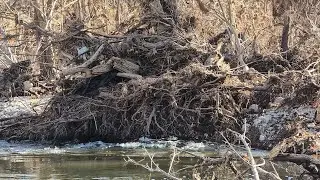 San Saba River Flood aftermath 