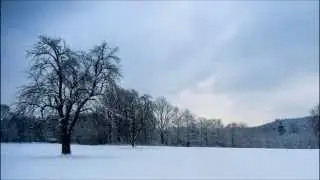 Winter Bieselsberg 2015