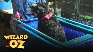 Dangerous Dave in Rehearsal - London | The Wizard of Oz