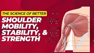 How To Use Science To Improve Shoulder Strength, Stability, & Mobility At Once!