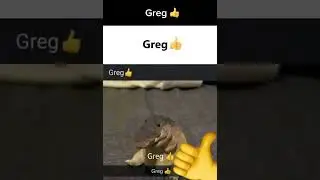 Spread The Greg 👍 #memes #crocodile #goofy #cute #thumbsup