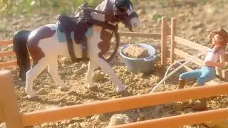 Training rescue horse - Schleich realistic rp/movie horses