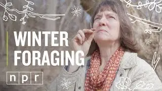 Winter Foraging | The Salt | NPR
