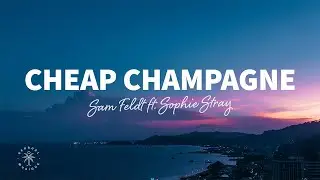 Sam Feldt - Cheap Champagne (Lyrics ft. Sophie Stray