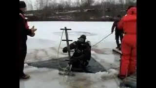 Penguin Ice Ladder