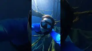 the clearest water in the world  Loc Paisupok Lake, Banggai Islands Regency