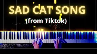 SAD CAT SONG on Piano | Meme Song