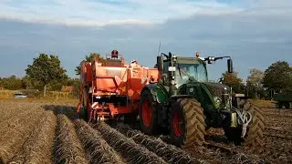 Von der Bodenbearbeitung bis zur Ernte| Kartoffelproduktion| Kartoffeljahr 2020