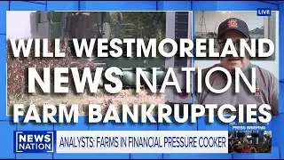 FARM BANKRUPTCIES are on the rise in just the first six months of the Trump administration.