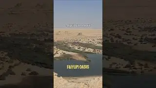 EGYPT'S LARGEST OASIS / Faiyum Oasis 🇪🇬