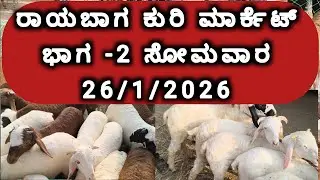 ರಾಯಬಾಗ ಕುರಿ ಮಾರ್ಕೆಟ್ ಭಾಗ -2/ sheep market rayabag / 26 /1/2026/ಸೋಮವಾರ