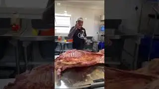 BraaiBrothers