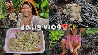 𐙚daily vlog | memetik jamur sawit dibelakang rumah🍄˚.🎀༘⋆ #dailyvlog #adventure #jamursawit 
