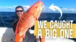 RED SNAPPER SEASON! // Fishing the Gulf of Mexico