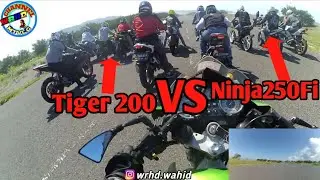 Tiger Vs Ninja250 Vs Ninja150R....DLL...FUNDRAG!!!