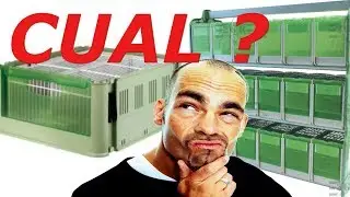 CUAL COMPRO PARA CONCURSO? (TRANSPORTINES)