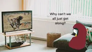 Stuff INFPs say