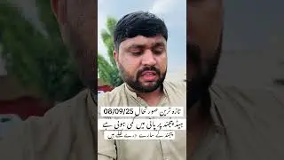 Flood situation in alipur latest update of head punjnad alipur #flood #alipur #rain #sailab
