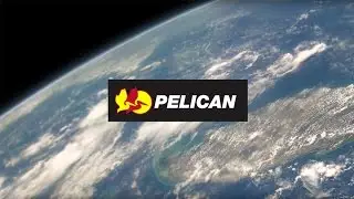 Pelican Custom Solutions