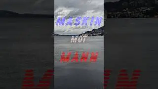 #Dampskip