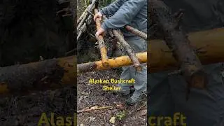 Surviving the Harsh Conditions of the Alaskan Wilderness #alaska #survival #shelter