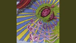 I Like the Idea of Chance